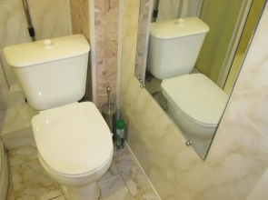 Апартаменты Pushkinskaya35