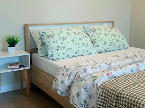 Na Petrova Flat