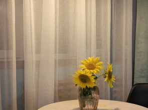 Квартира Nice Place Penza Central Hub