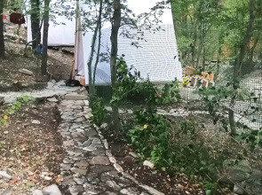 Dikoe Mesto Camping