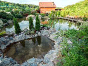 Ryizhij Kot Guest House