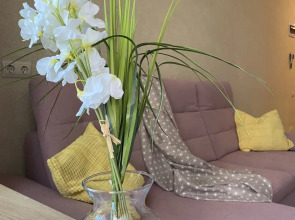 Апартаменты Оливия возле Озера