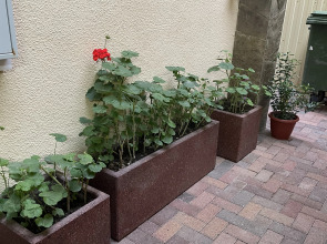 Гостевой дом Рузанна инн