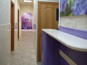 Меблированные комнаты Бон Апарт Ирена на Большой Морской 31