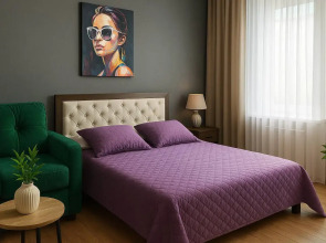 Апартаменты в центре от компании "V-GOSTI"