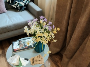 Квартира Золотая Середина