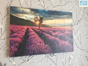 Апартаменты Прованс