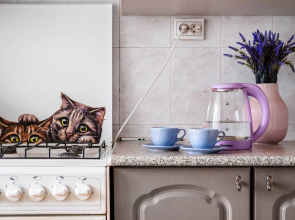 Квартира ПосуткаРу Краснознам 59 ТЦ Вершина Плаза и Центральный стадион