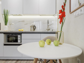 Квартира-студия с видом на Дон