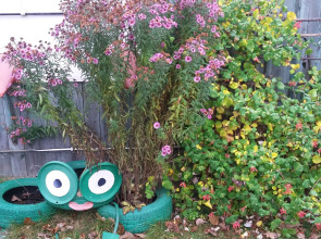 Меблированные комнаты Мещерино