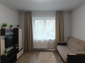 Odnokomnatnaya V Rodnikakh Flat