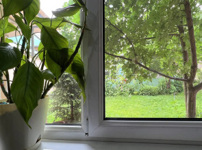 Гостевой Дом Frodo