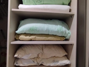 Апартаменты Пушкинская 52