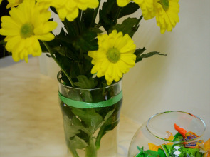 Хостел Амалиенау Хостел и Апартаменты