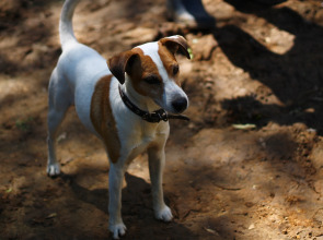 Гостевой Дом Агроусадьба NaraEcoHills