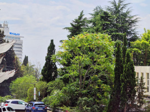 Апартаменты M-Apartments, El Mandarine 23