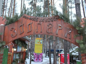 Апартаменты Уютная студия