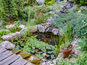 Гостевой Дом Солнечная Ривьера