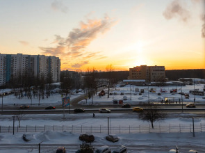 Апартаменты Лес 412/1