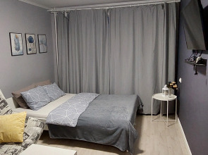 Студия вблизи соснового бора