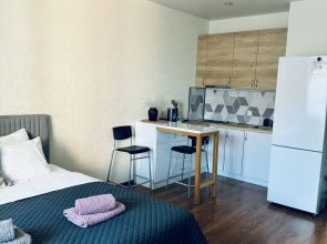 Uyutnaya Studiya Na Myasnikovoy Flat