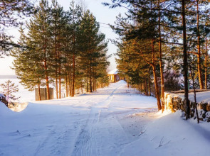 Апартаменты Отдых на Селигере турбаза Чайка