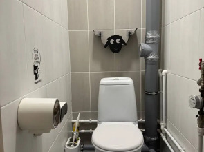 Апартаменты Просторные апартаменты  Vetka Home на Красном проспекте