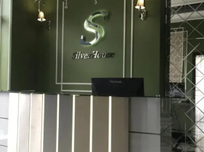 Апартаменты Silver House 1