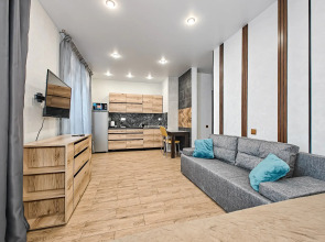 Квартира Писарева 44