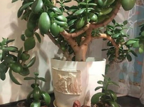 Апартаменты Вдохновение