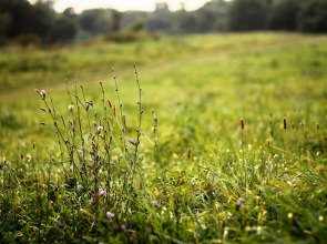 Гостевой Дом Агроусадьба NaraEcoHills