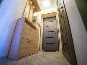 Апартаменты на Флотской