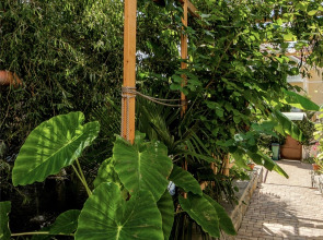 Квартира на Мира