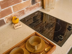 Апартаменты Gagahouse