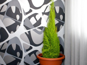 Отель Подкова