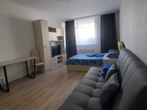 Апартаменты у Аэропорта Dream House