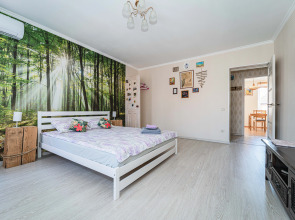 Апартаменты на пешеходной улице с 2-мя спальнями