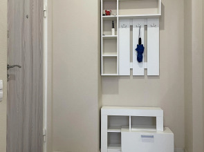 Квартира Большой Сампсониевский 31