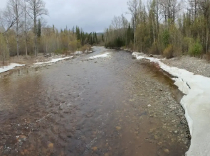 Мини-отель Подснежник