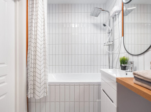 Квартира Тибетская 1