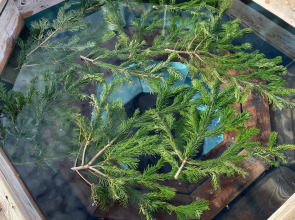 Ягода-Малина