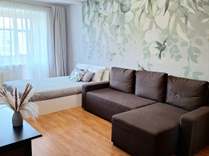 Квартира в центре на Толбухина