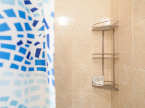 Двухместная мини-студия Авион