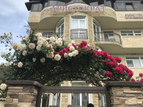 Аристократ (Сириус)