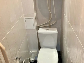 Апартаменты в центре Пушкиногорья