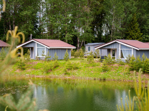 Глэмпинг  4 стихии Тверь