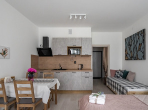 Квартира Светлановский Студия