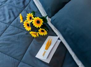 Апартаменты Альфа Хоум Плюс в центре Челябинска