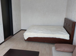 Uyutnaya V Tsentre Goroda Na Golosova 105 Flat