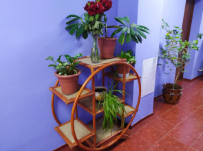 Хостел На Бульваре